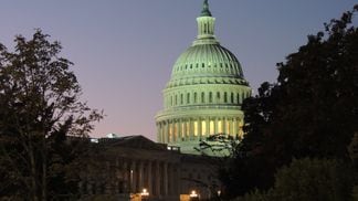 The U.S. Capitol (Nikhilesh De/CoinDesk)