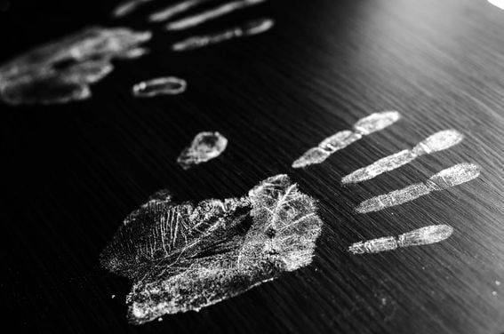 fingerprint, detective