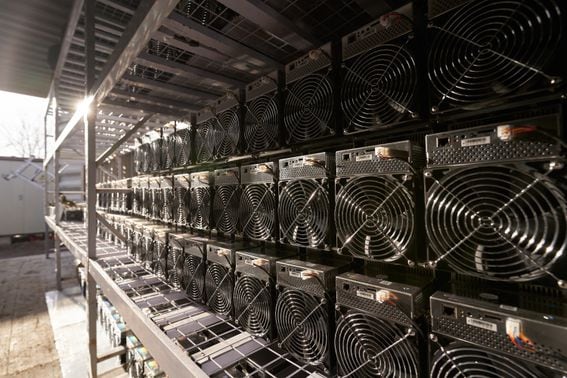 Bitcoin ASIC miners in warehouse. ASIC mining equipment on stand racks for mining cryptocurrency in steel container. Blockchain technology application specific integrated circuit storage.