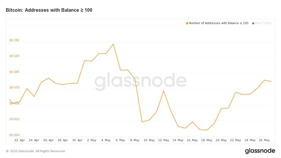 glassnode-studio_bitcoin-addresses-with-balance-%e2%89%a5-100