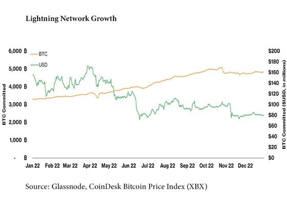 Lightning Network growth