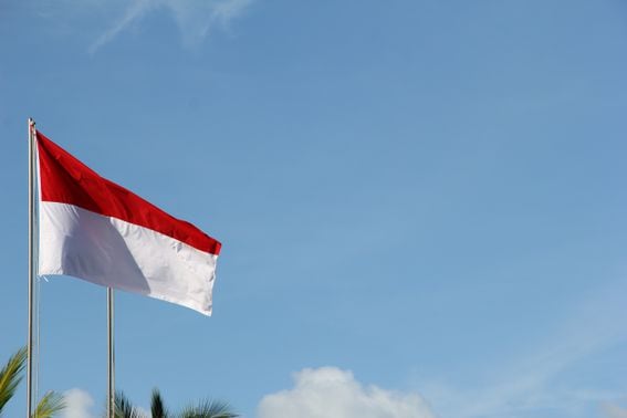 The Indonesian flag (Nik Agus Arya/Unsplash)