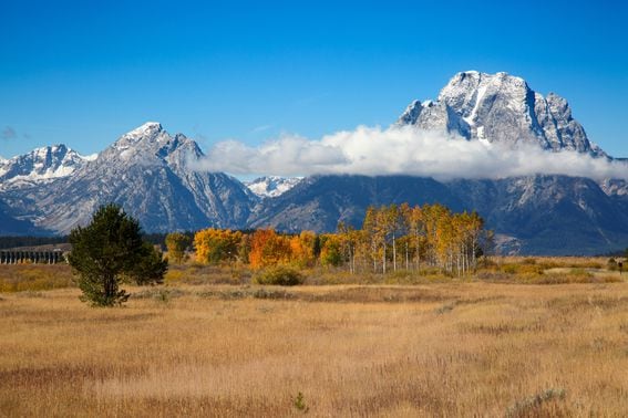 Wyoming (Shutterstock)