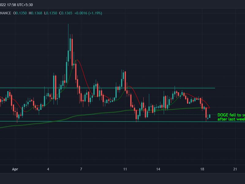 Dogecoin slumped to support after a temporary surge last week. (TradingView)