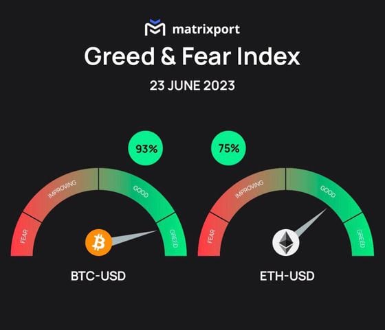 Matrixport's Greed & Fear index