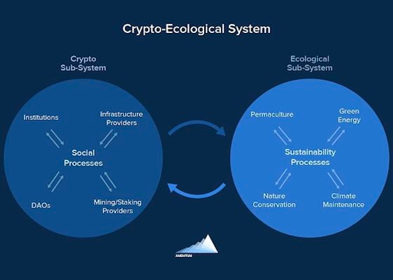 Fig 2: We can combine our efforts in crypto with other sustainability practices to create something truly unique and long-lasting that encourages a healthy marriage of nature and technology. If it exists, it’ll be found in these intersections.