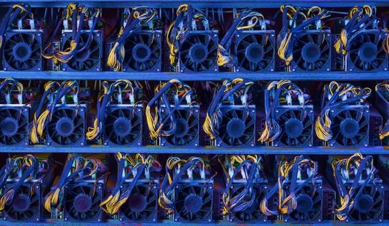 Bitcoin mining machines. (Mark Agnor/Shutterstock)