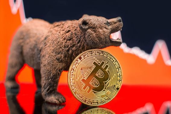 bitcoin, bear