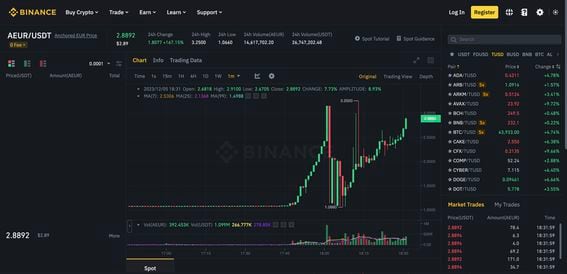 Binance halted trading with the AEUR-USDT pair one day after listing (Binance)