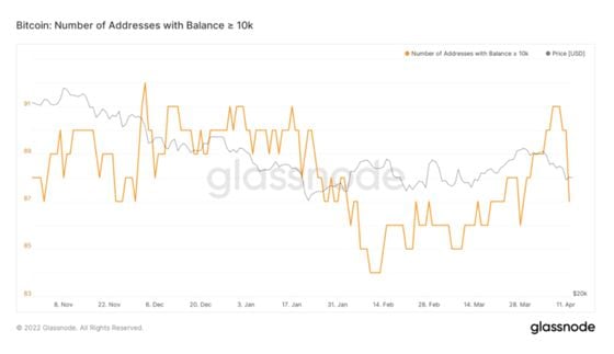 Bitcoin addresses >10K (Glassnode)