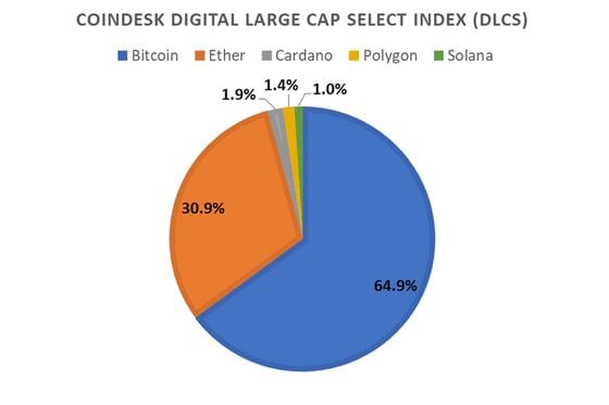 CoinDesk Digital Large Cap Select Index (DLCS)