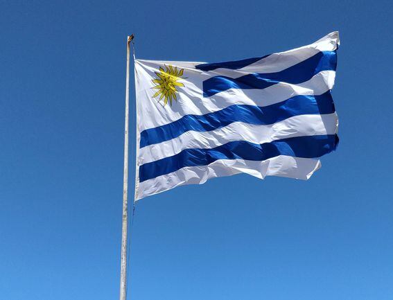 Uruguay's flag (Unsplash)