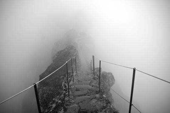 Foggy path