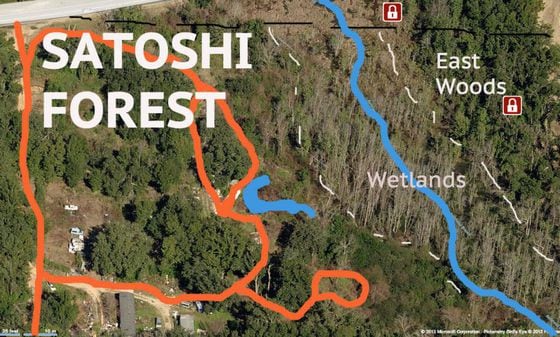 satoshi-forest