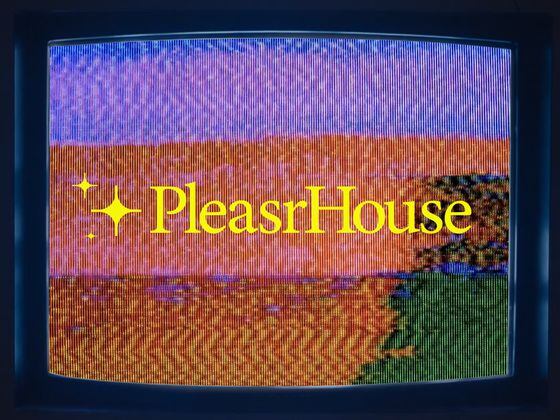 PleasrHouse Logo (PleasrDAO)