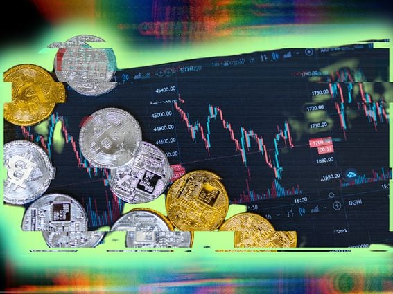 Crypto.com: What You Need to Know About the Crypto Exchange and Wallet (Pexels)