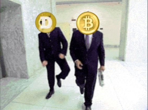 bitcoin, dogecoin