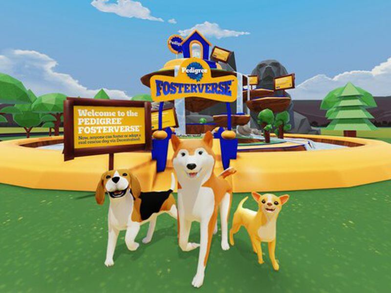 Pedigree Unleashes Virtual Fostering in Decentraland to Find Real Dogs Homes