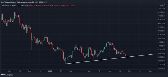 Bitcoin's daily price chart (TradingView)