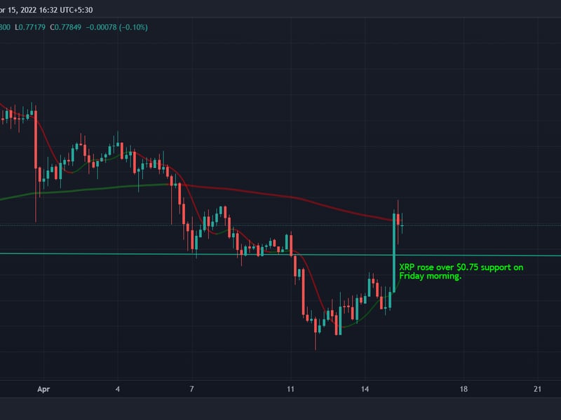 XRP rose above resistance levels on Friday. (TradingView)