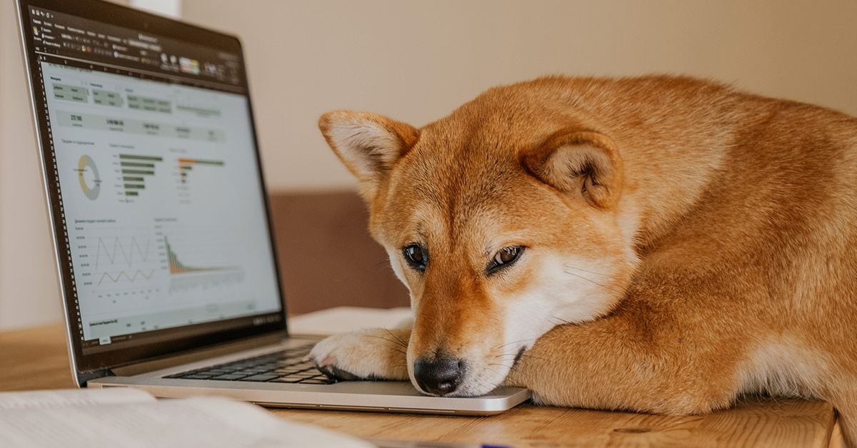Canine Crypto Coins Jump After Elon Musk Sends DOGE-Themed Tweet