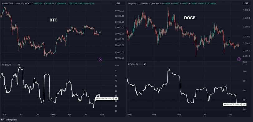 BTC's 30-day realized volatility has dropped below that of DOGE, a rare event in the crypto market. (TradingView/CoinDesk)