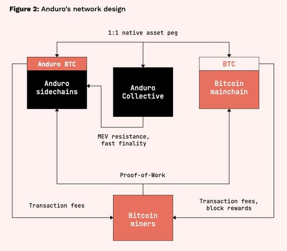 Schematic of Marathon's "Anduro" network design, from the litepaper. (Anduro)