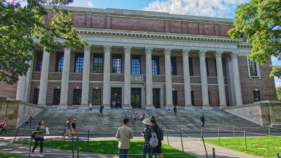 Harvard University library (Pascal Bernardon/Unsplash)