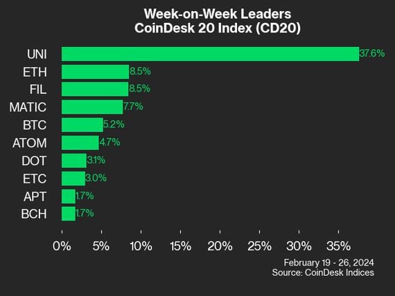 CD20 leaders 2/26/2024 (CoinDesk Indices)
