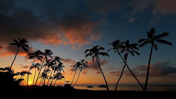Is Hawaii on Its Way to Becoming a Crypto Paradise?
