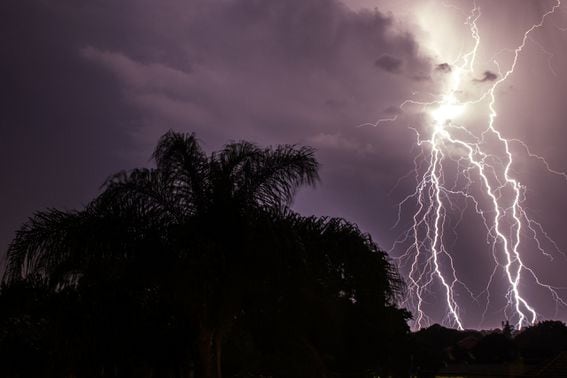 lightning, palm trees