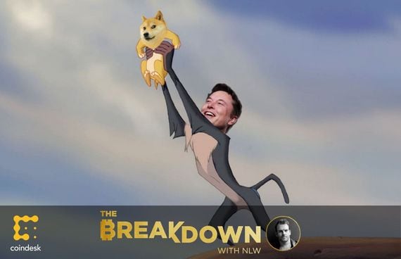 Meme incorporating a popular image from “The Lion King,” with Elon Musk holding up a little Doge meme. NLW discusses what happens to dog money after Elon Musk appears on “Saturday Night Live.”