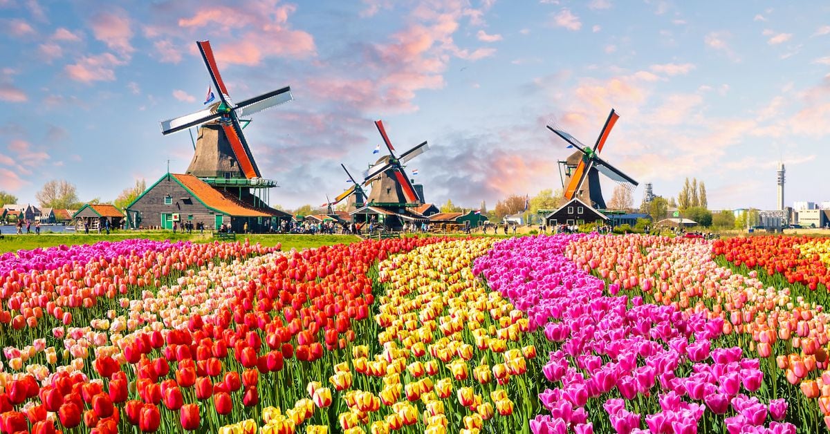 Crypto Alternate Binance to Stop Netherlands After Failing to Purchase Anti-Cash Laundering License