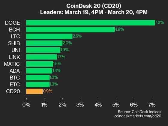 Biggest gainers in the CoinDesk 20 Index on March 20 (CoinDesk)