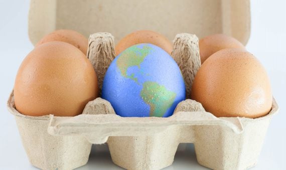 world, egg, fragile