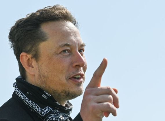 Elon Musk activates Starlink in Ukraine. (Patrick Pleul - Pool/Getty))