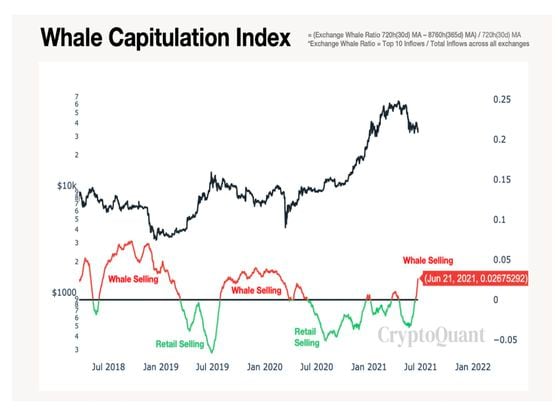 Bitcoin whale capitulation index (CryptoQuant)