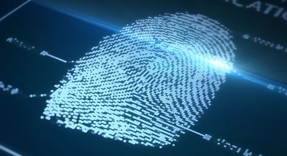 Digital Identity, fingerprint