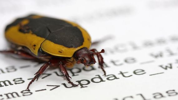 Decentralized exchange Raydium has proposed a bug bounty program. (CoinDesk)