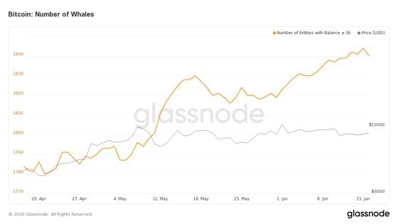glassnode-studio_bitcoin-number-of-whales