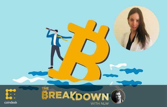 Illustration of a man on a bitcoin logo boat in the sea, with an inset photo of macro expert Lyn Alden, who discusses inflation, bitcoin, energy, and more.