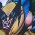 Wolverine (Jack O'Rourke/Unsplash)