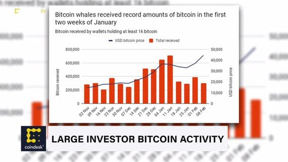 Large Investor Activity Evident on the Bitcoin Blockchain