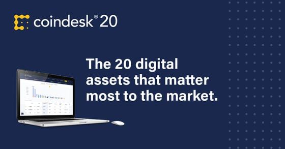 The CoinDesk 20: The Assets That Matter Most to the Market