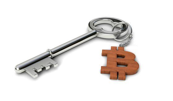 Metal key with wooden Bitcoin shaped keychain isolated on white background. 3d illustration.