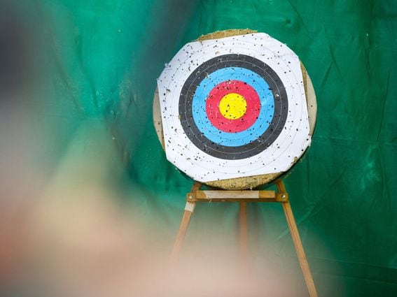 Archery Target (Shutterstock)