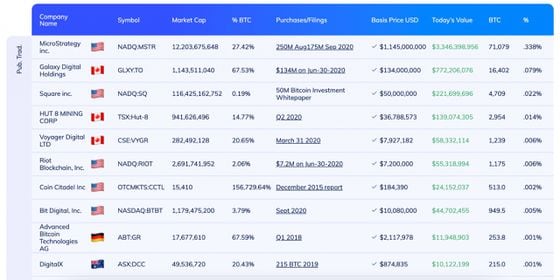 Top 10 publicly traded companies by bitcoin holdings.
