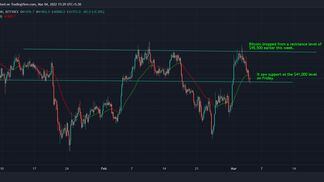 Bitcoin fell from resistance earlier this week but saw support at the $41,000 level. (TradingView)