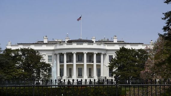 Report: Top White House Tech Critic Tim Wu Owns Over $1M in Bitcoin