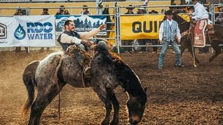 CDCROP: Rodeo cowboy bucking bronco horse riding (Jordan Heinrichs/Unsplash)